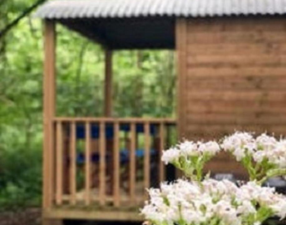 Photo of Others in Hatherleigh