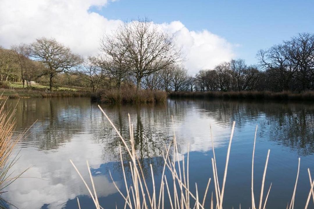 Photo of Outdoor in Hatherleigh