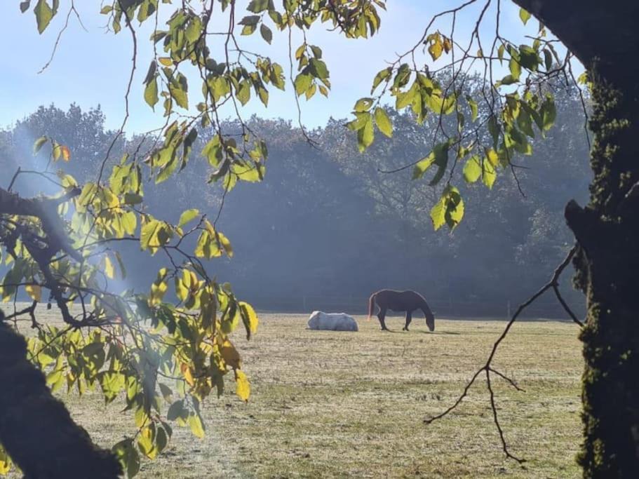 Photo of Others in Thoree-les-Pins