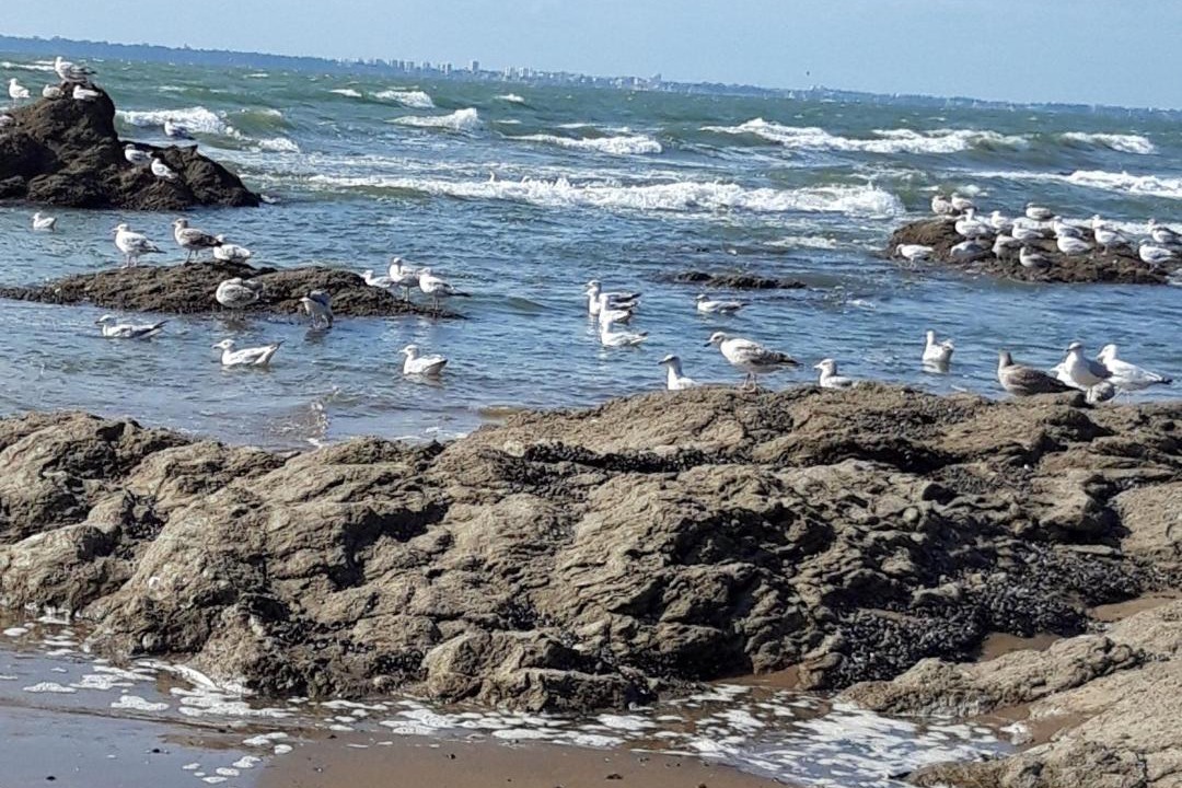 Photo of Others in Saint-Brevin-l'Ocean