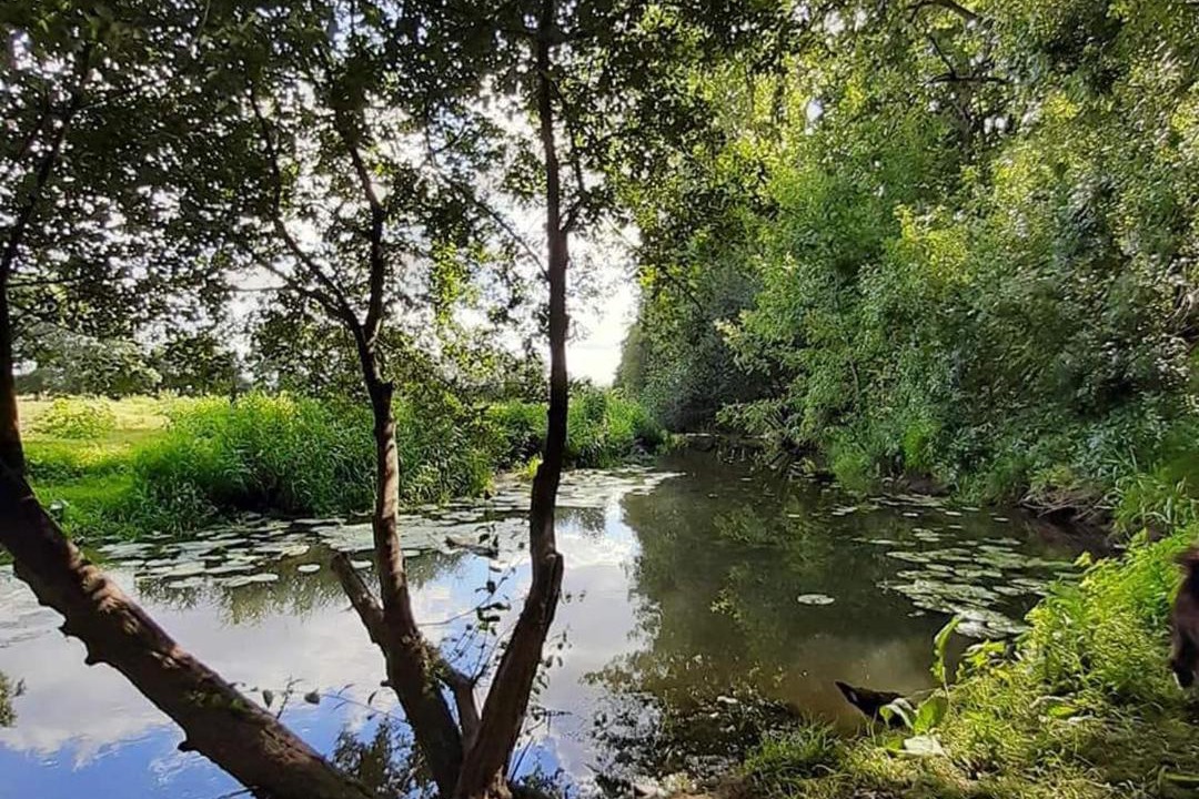 Photo of Others in Vallons-de-l'Erdre