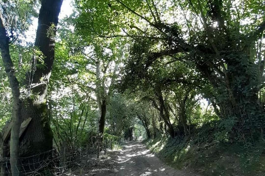 Photo of Others in Vallons-de-l'Erdre