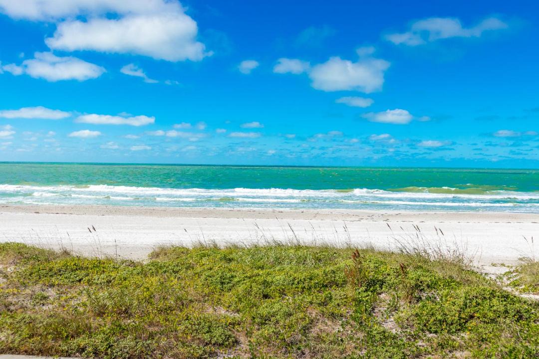 Photo of Others in Belleair Beach