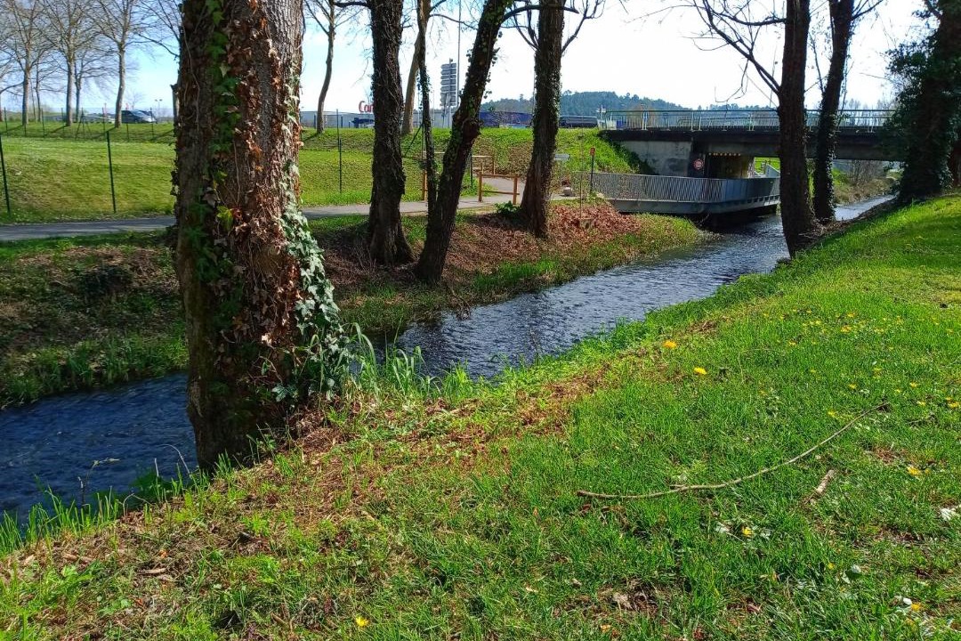 Photo of Others in Boulazac-Isle-Manoire