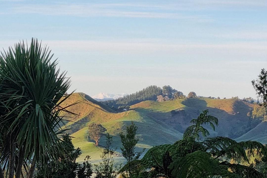 Photo of Others in Otorohanga