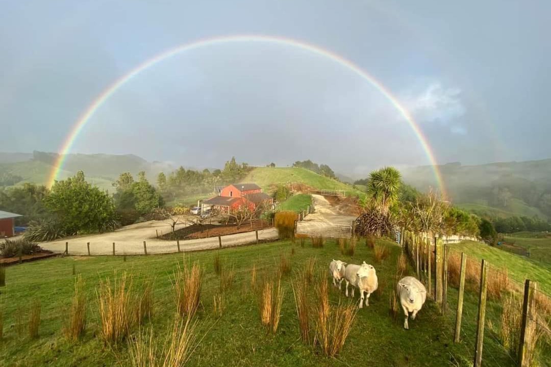 Photo of Others in Otorohanga