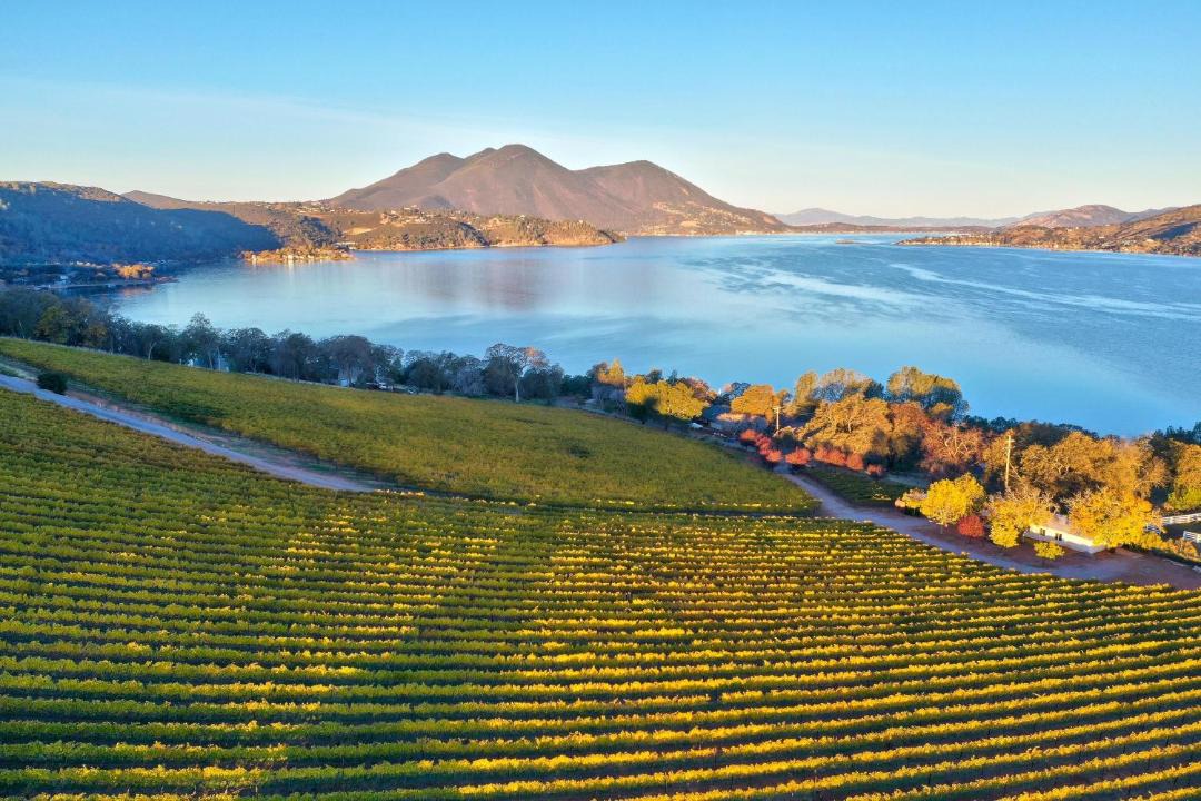 Photo of Others in Lower Lake