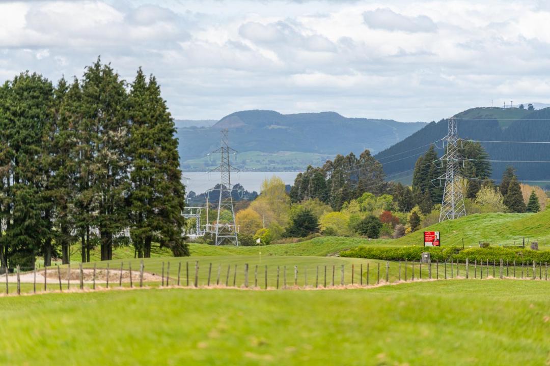 Photo of Others in Rotorua