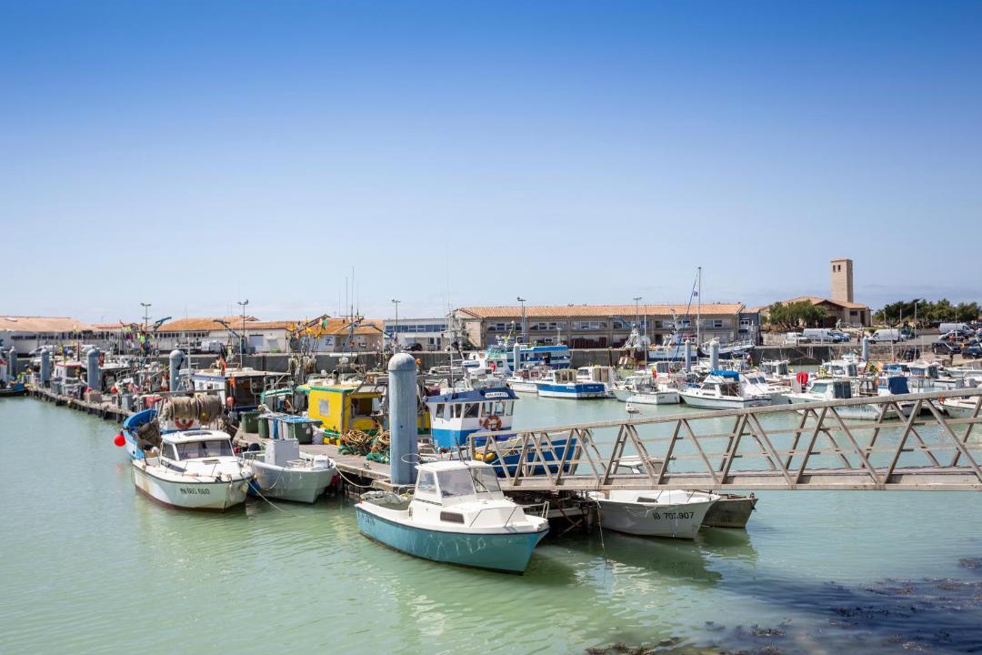 Photo of Others in Dolus-d'Oleron