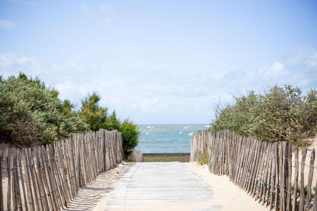 Photo of Others in Dolus-d'Oleron