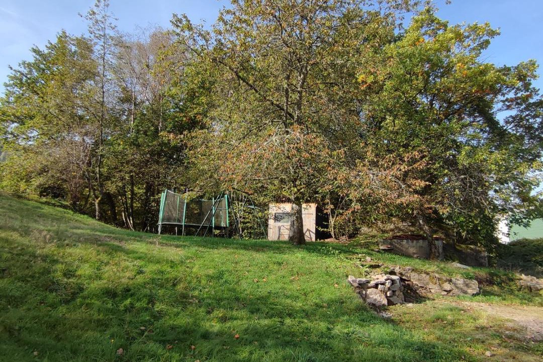 Photo of Others in Saulxures-sur-Moselotte