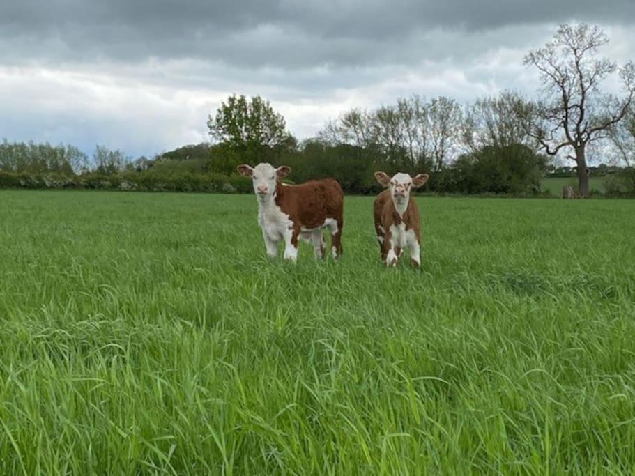 Photo of Others in Uckington
