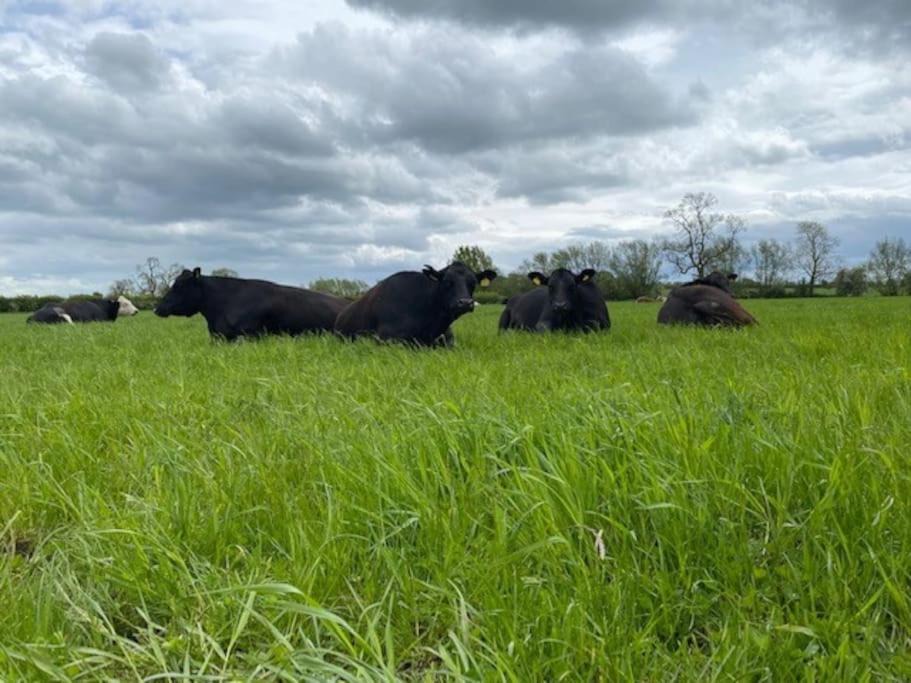 Photo of Others in Uckington