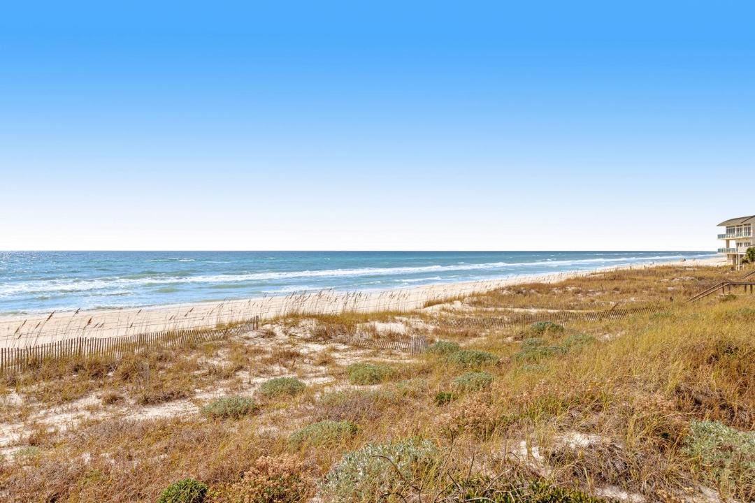 Photo of Others in Inlet Beach