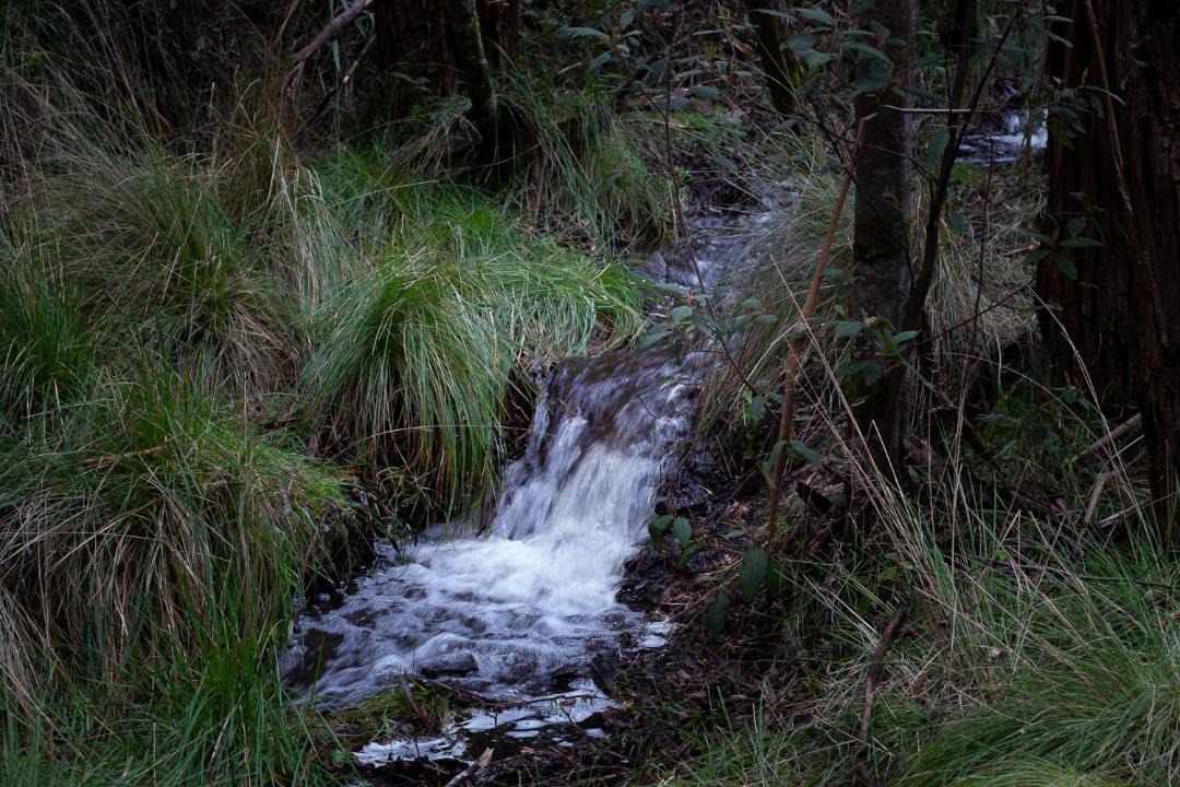 Photo of Others in Woodend