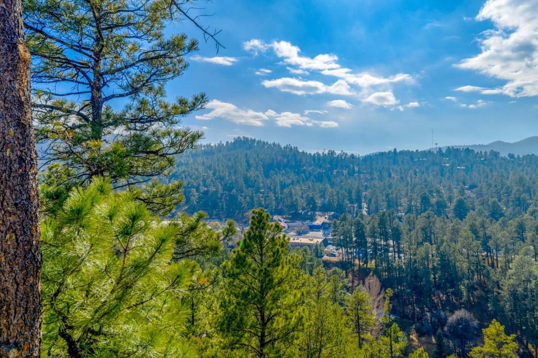 Photo of Others in Ruidoso