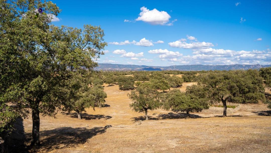 Photo of Outdoor in Torrecampo