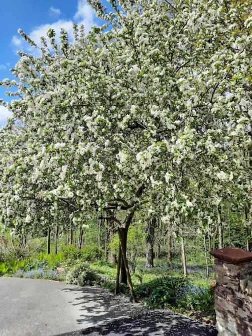 Photo of Others in Diddlebury