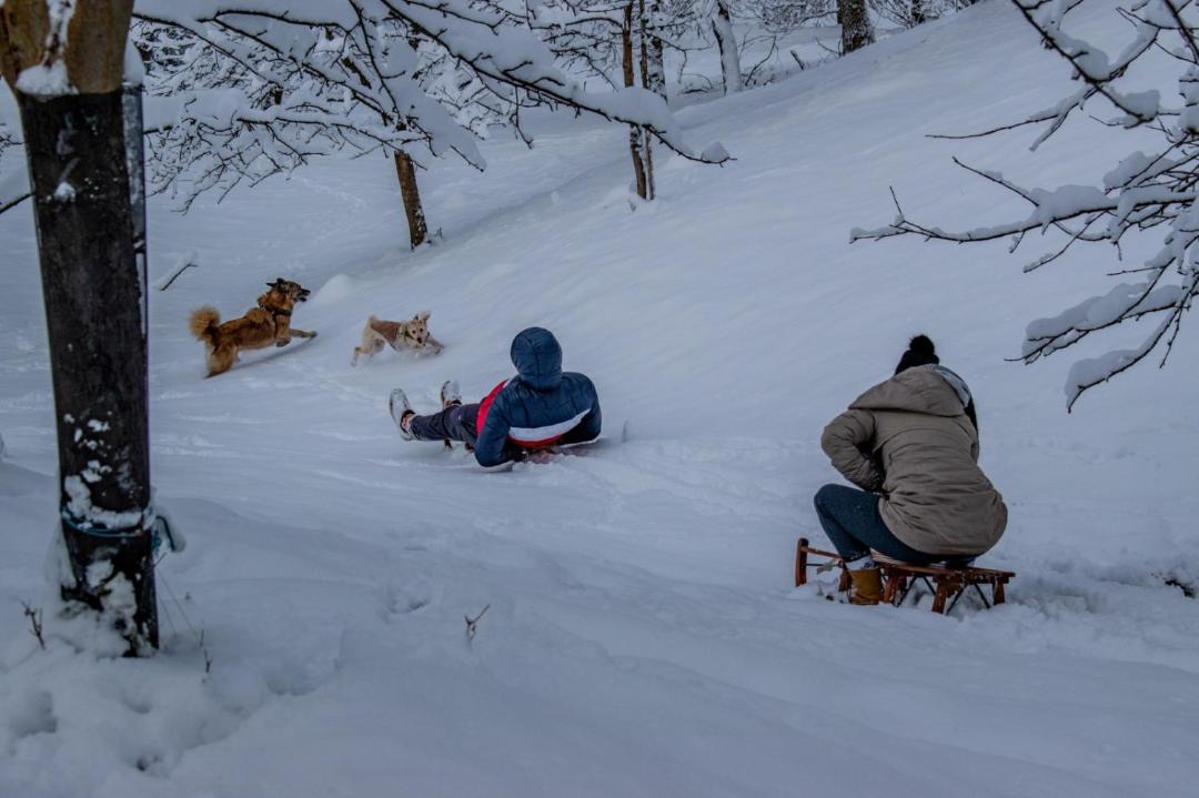 Photo of Others in Skrad