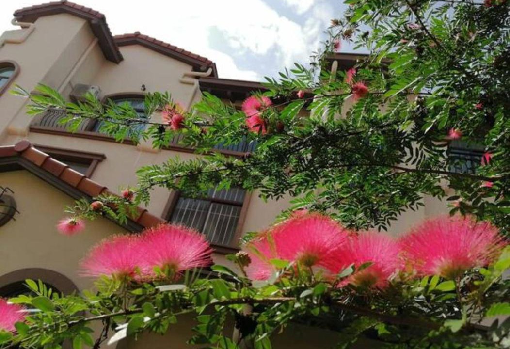 Photo of Others in Semenyih