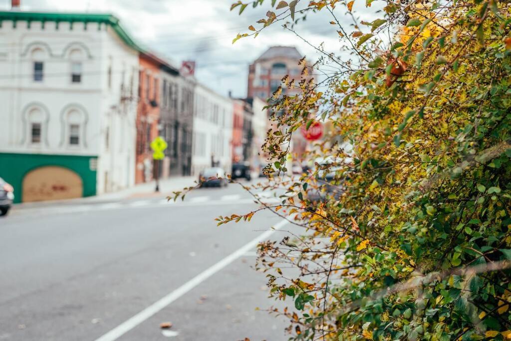 Photo of Buildings in Augusta