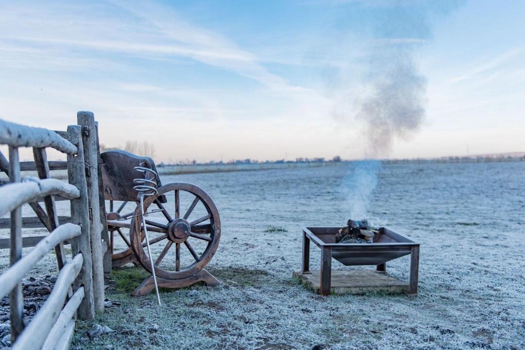 Photo of Others in St Mary's Bay