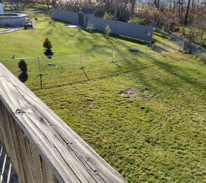 Photo of Others in Newtonville