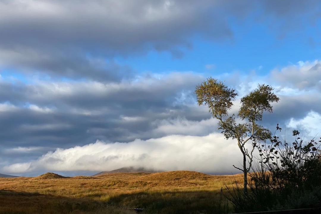 Photo of Others in Forsinard