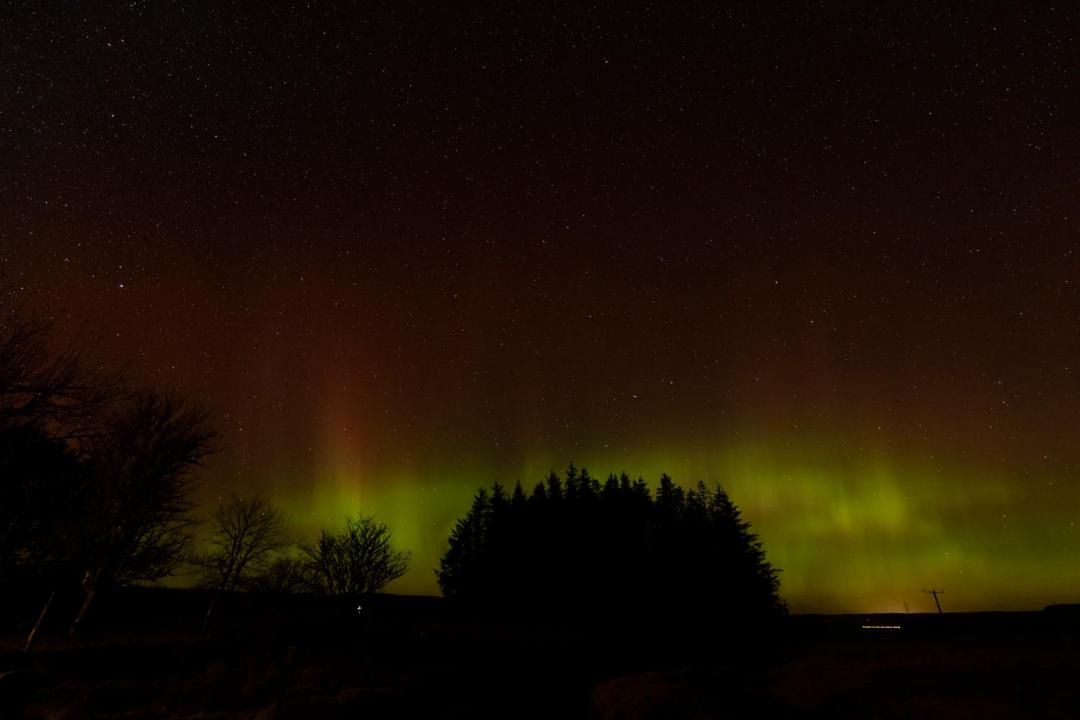 Photo of Others in Forsinard