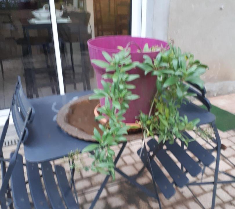 Photo of Others in Montchanin