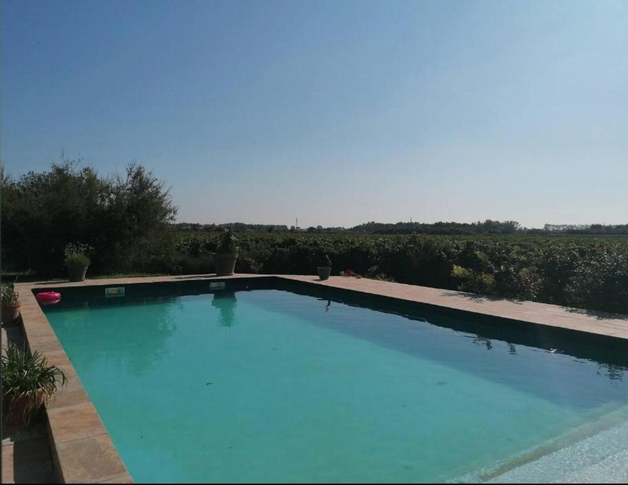 Photo of Outdoor in Marsillargues