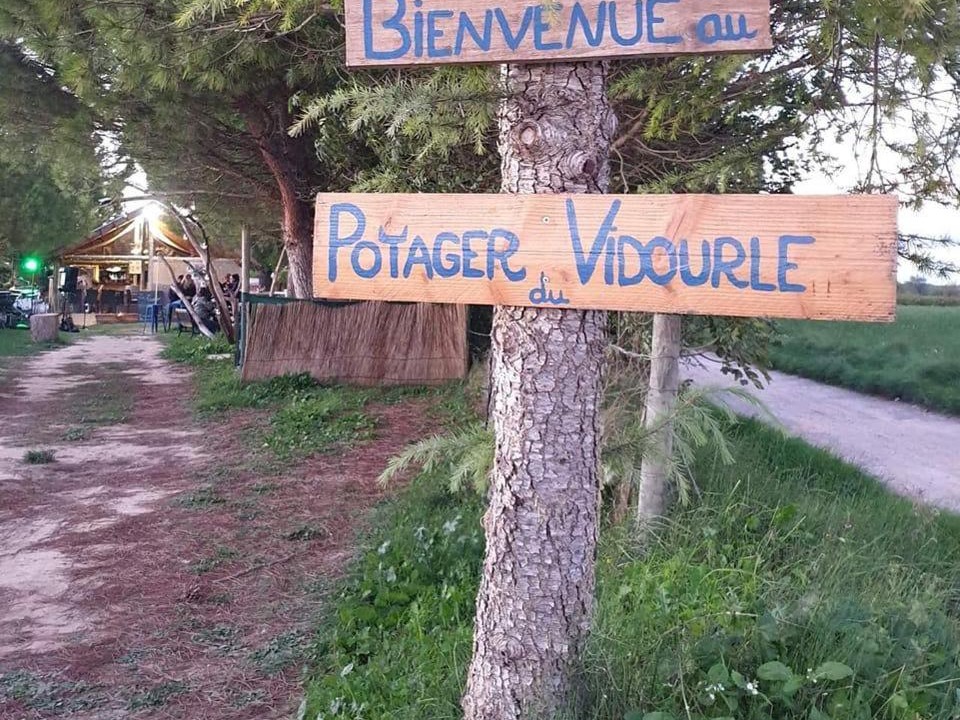 Photo of Buildings in Marsillargues