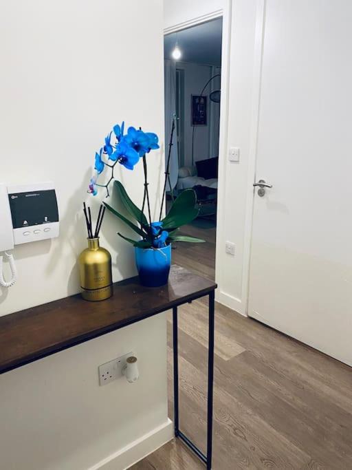 Photo of Others in North End