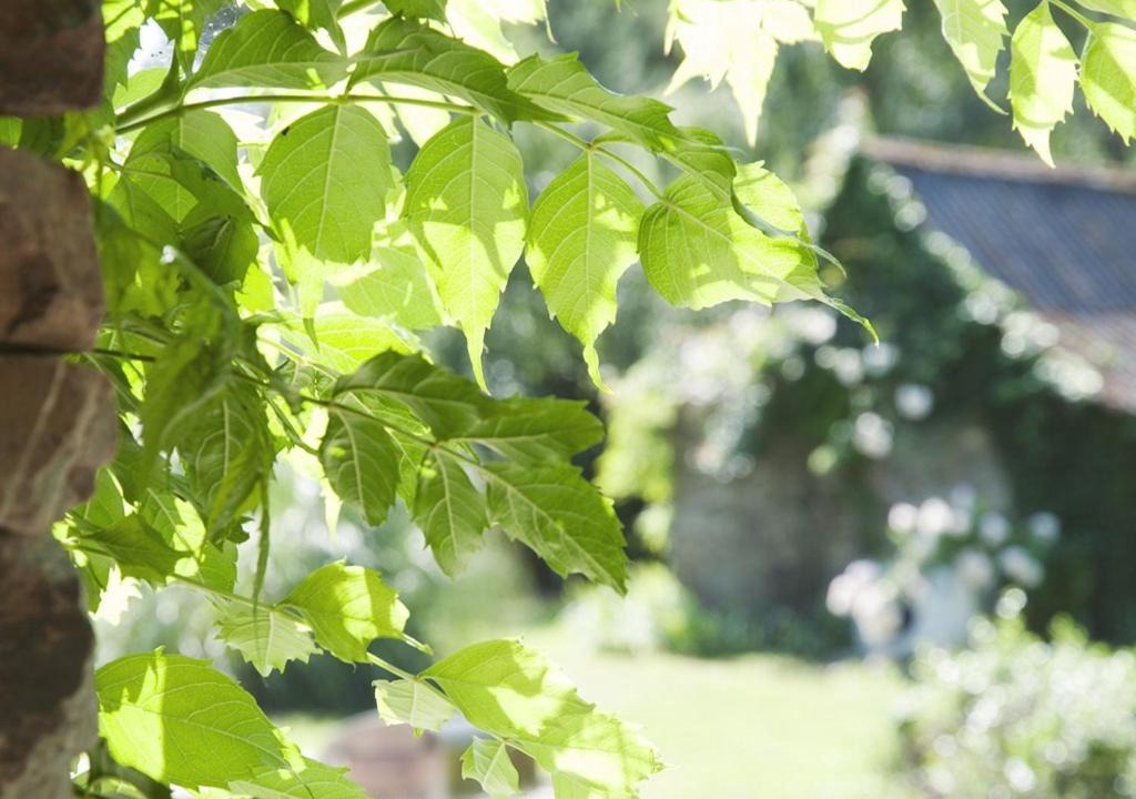 Photo of Others in Soudan