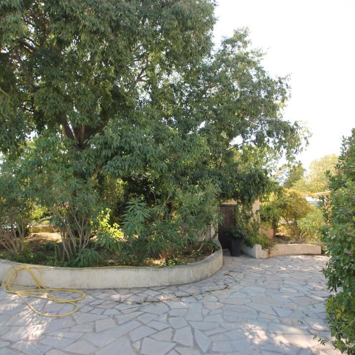 Photo of Others in Le Somail