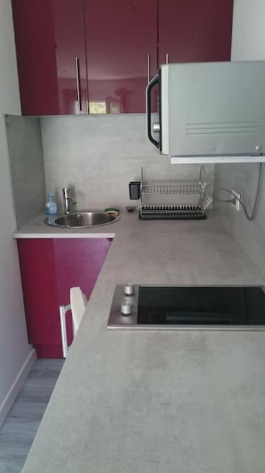 Photo of Kitchen in Belvedere