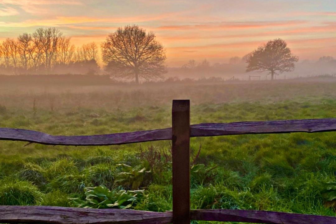 Photo of Others in Bramley