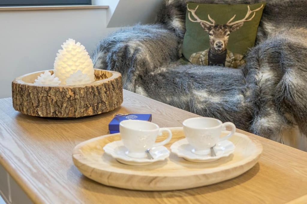 Photo of Others in Lamotte-Beuvron