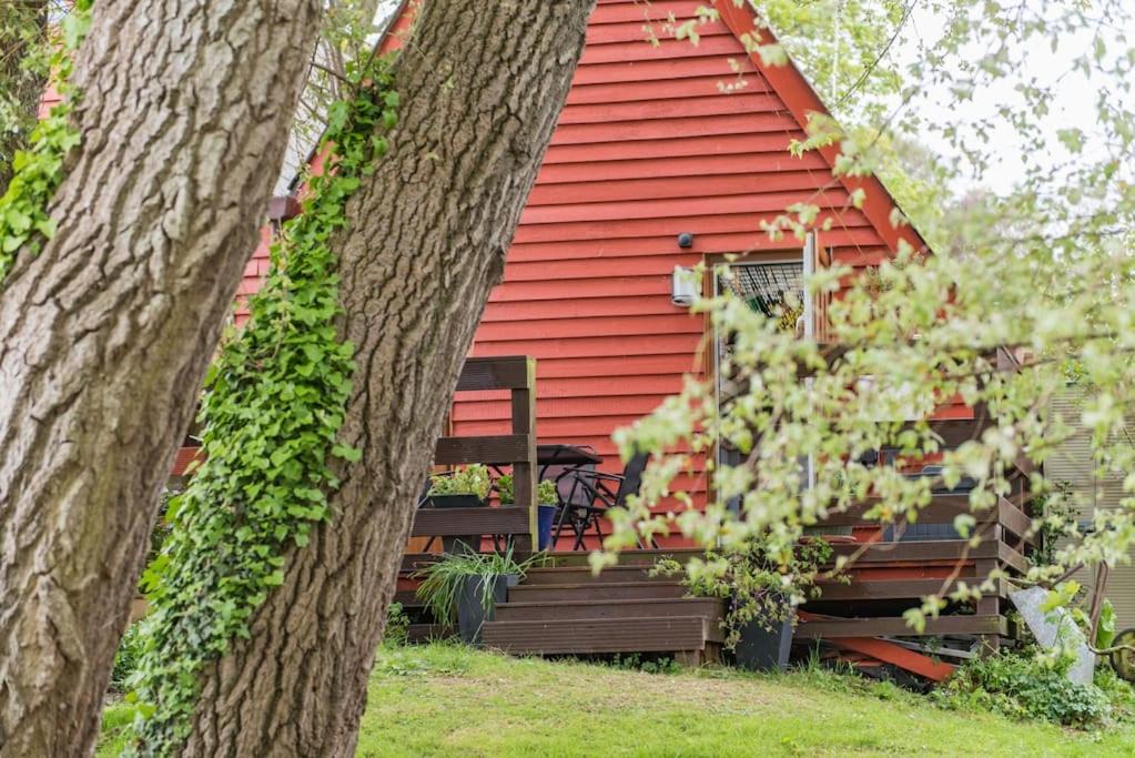 Photo of Others in Martin