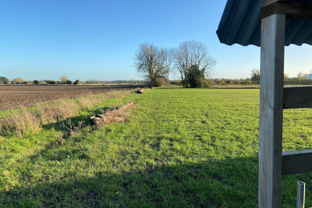 Photo of Others in Cambridge