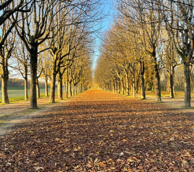 Photo of Others in Avon