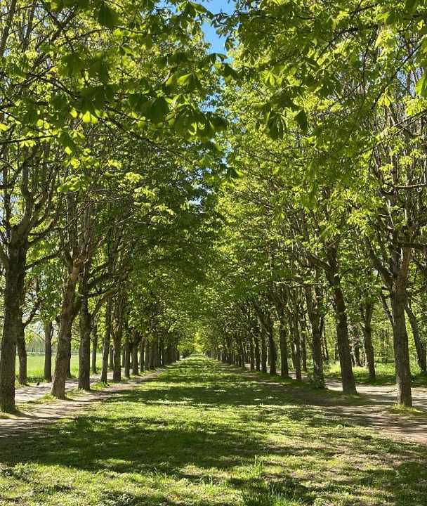 Photo of Outdoor in Avon