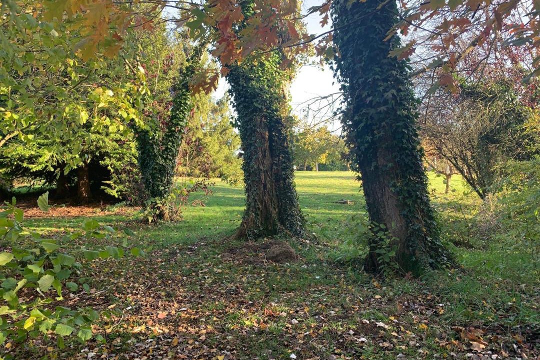 Photo of Others in Gorron