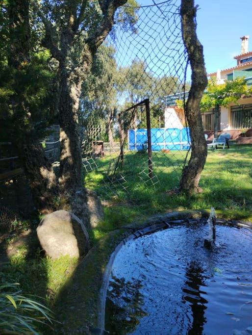 Photo of Others in Santa Cristina de Aro