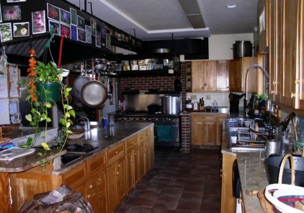 Photo of Others in Dorchester