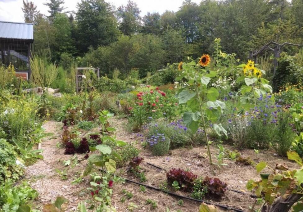 Photo of Others in Dorchester