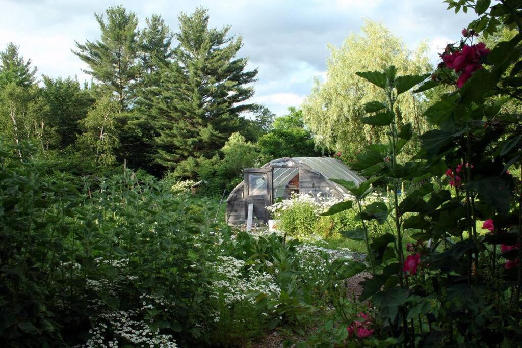 Photo of Others in Dorchester