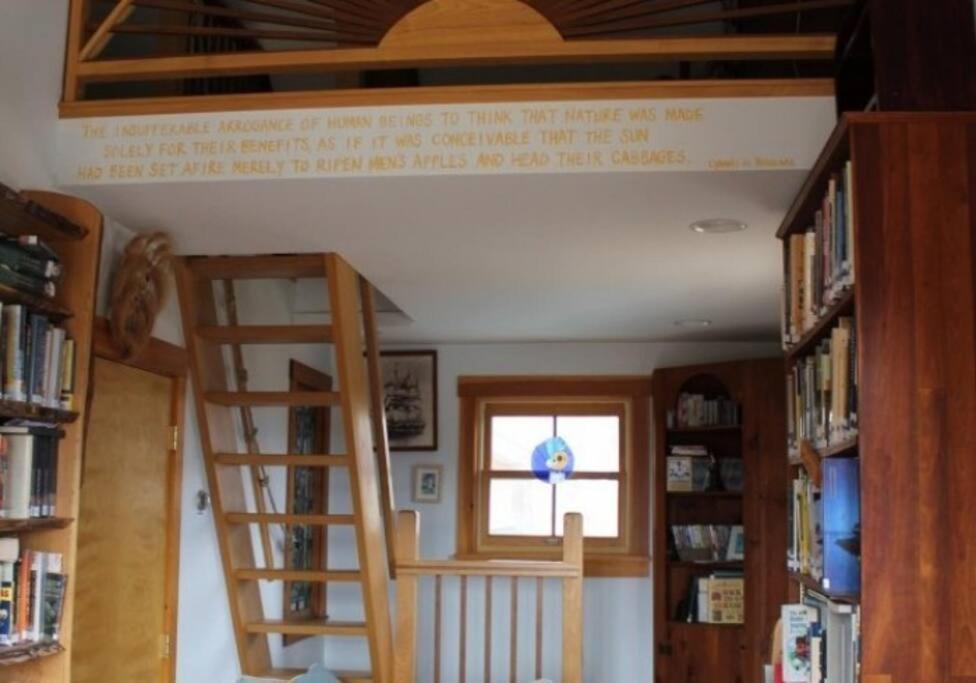 Photo of Others in Dorchester