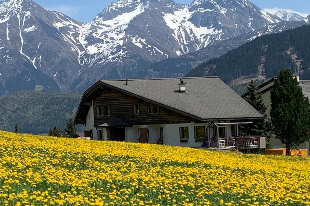 Photo of Buildings in Sedrun