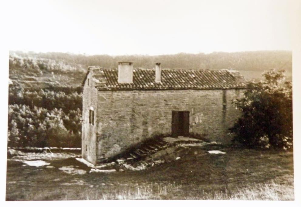 Photo of Buildings in Caylus